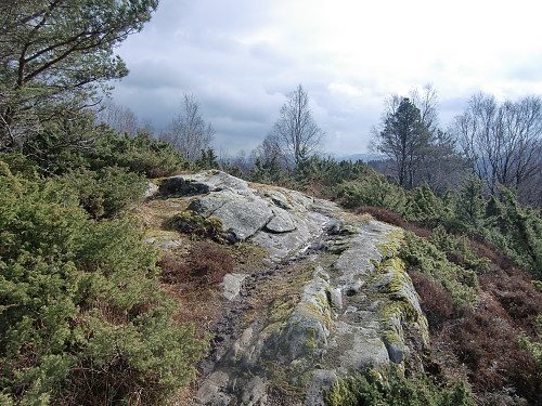 Ulsberghøyen 204