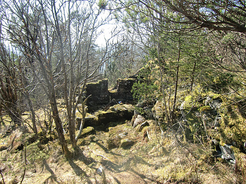 Rester etter en liten hytte rett syd for toppen på Sandviksfjellet 417. Inntegnet på kart, og hytten sto i 1951 (1881 historisk foto) Finner ingen info om hytten (Trollborg)