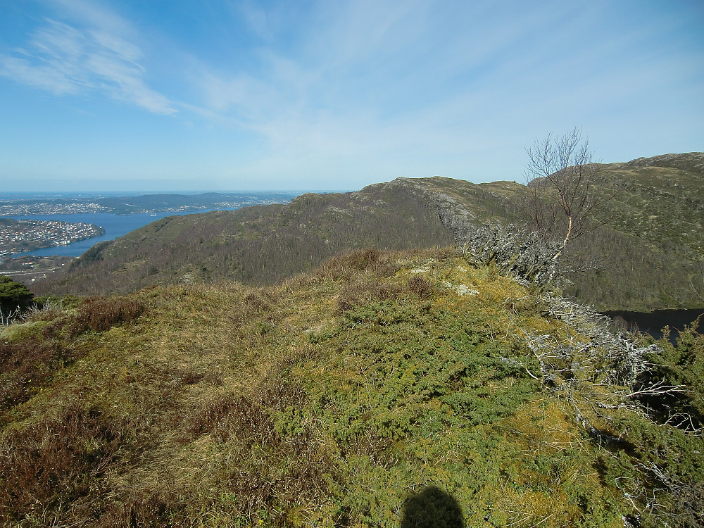 Toppen på Stangelifjellet
