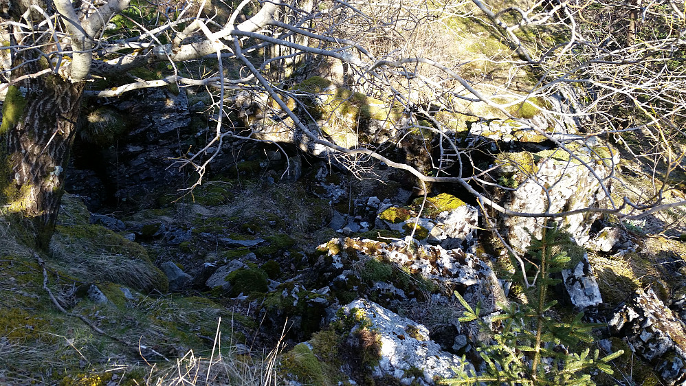 hytteruinen til Trollborg