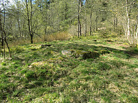 Treskoen