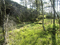 Småkirken