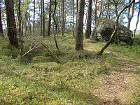 Hellandshaugen