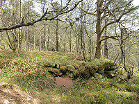 Steinhytten