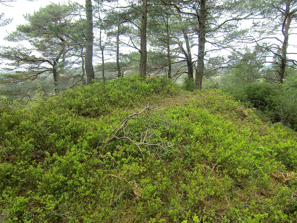Allestadhaugen