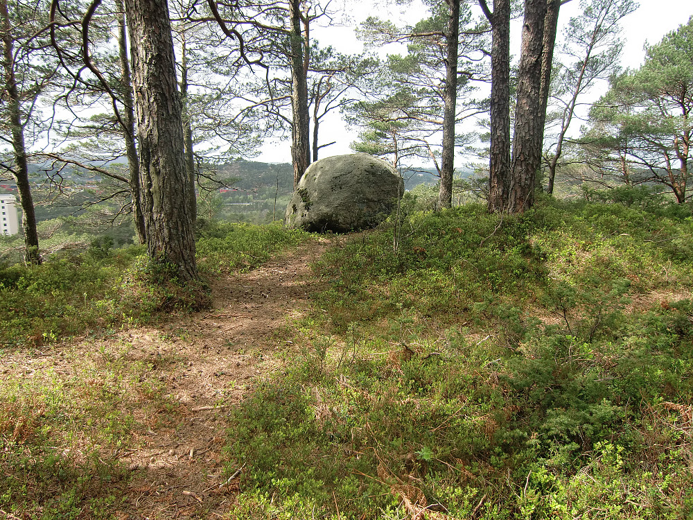 Hesjaholten 