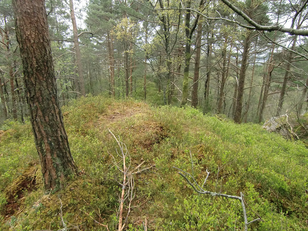 Eikehaugen 