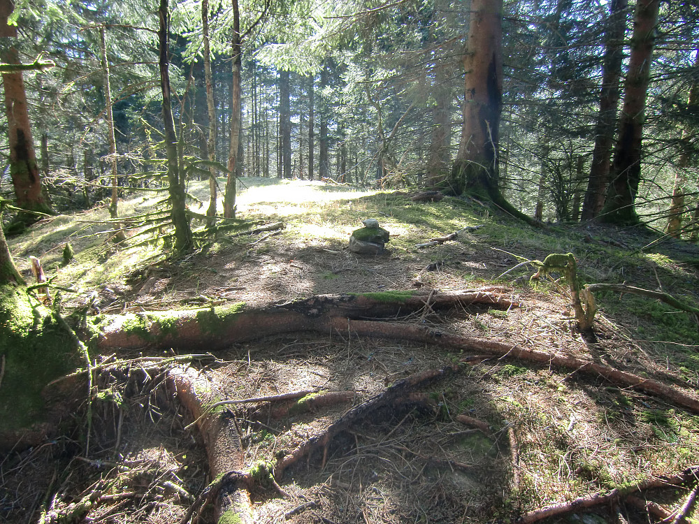 Toppen på Solåsen