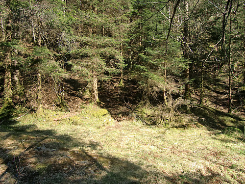 Øverst i traktorveien går stien inn i skogen midt på bildet