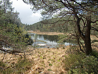 Langatjørna
