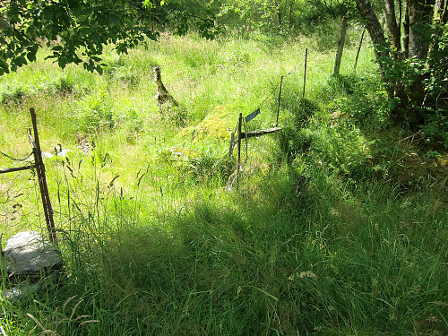 Alt. sti start opp med gjerdet her eller opp gjennom en granskog rett ved. 