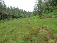 myren på sydsiden av granskogen