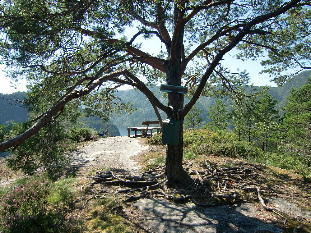 Geithaugen