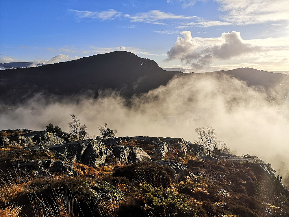Løvstakken fra Olsokfjellet