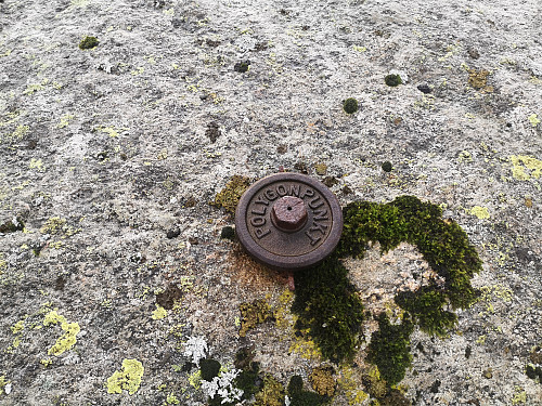 Polygonpunkt ved Holefjellet S.