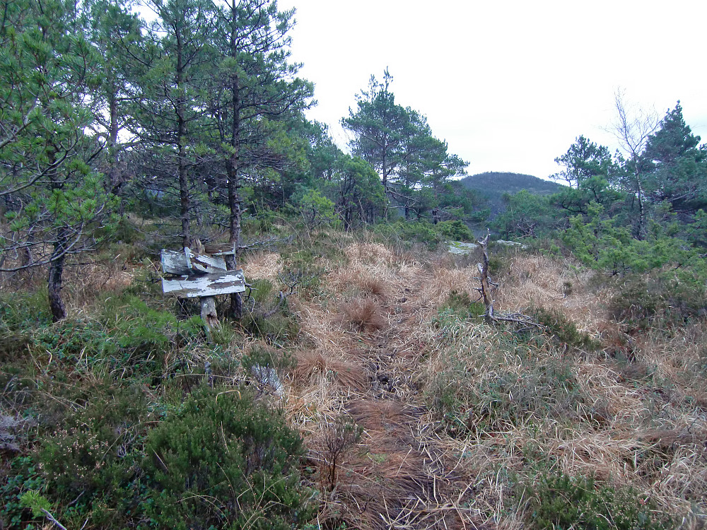 Sveåsen 266