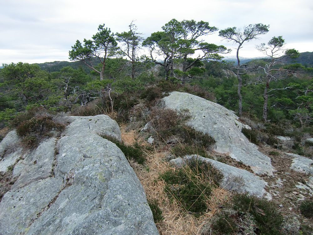 Storakvitefjellet 212