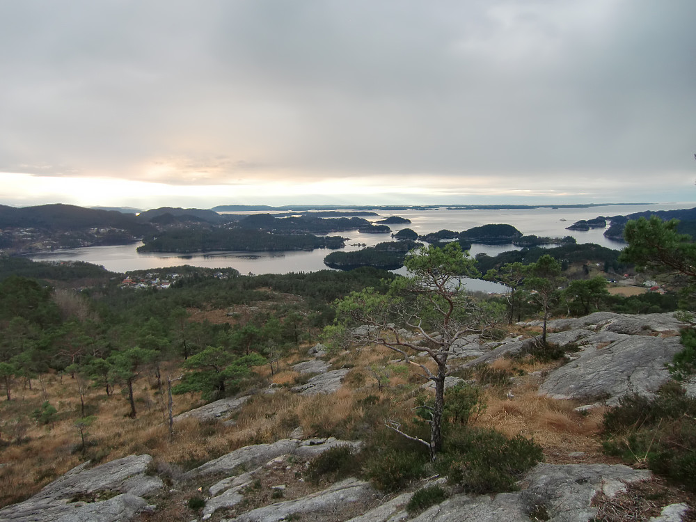 Utsikt mot Lysøya og Lysefjorden 