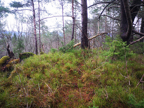 Dolvikfjellet