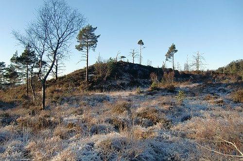 Barkahaugane 