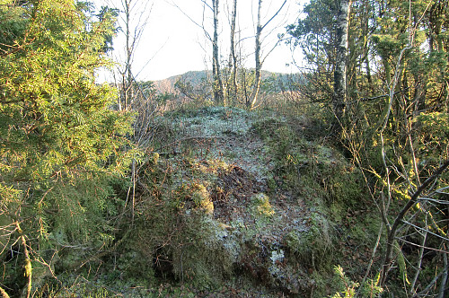 Toppen på Fjellet