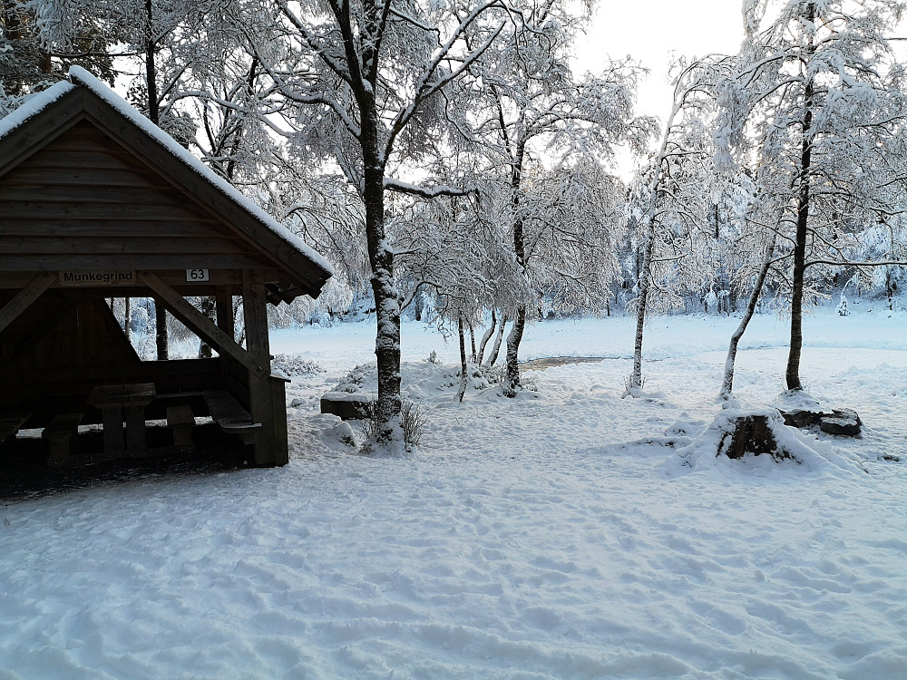 Ved Garpetjern