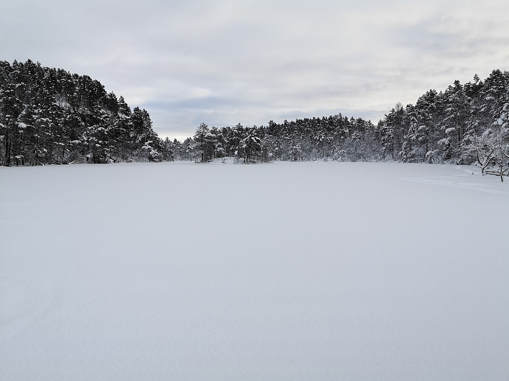 Nipetjørna sett fra nord