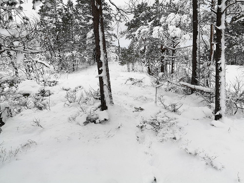 Holmen sett fra syd der nøstet sto