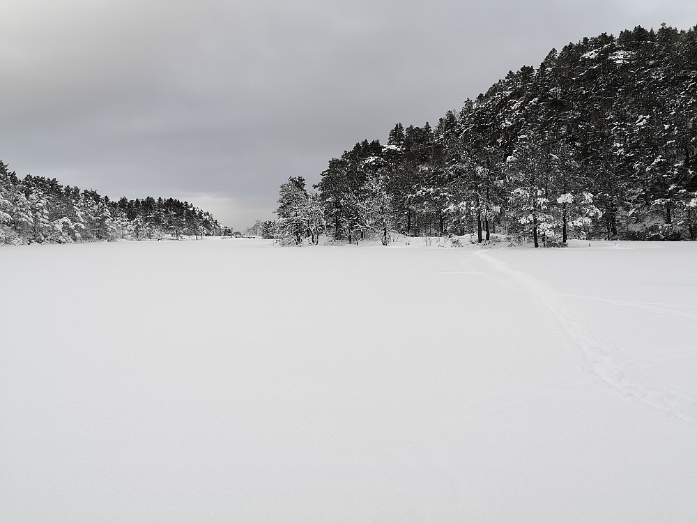 Nipatjørna sett fra syd