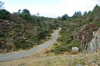 Første del av stien