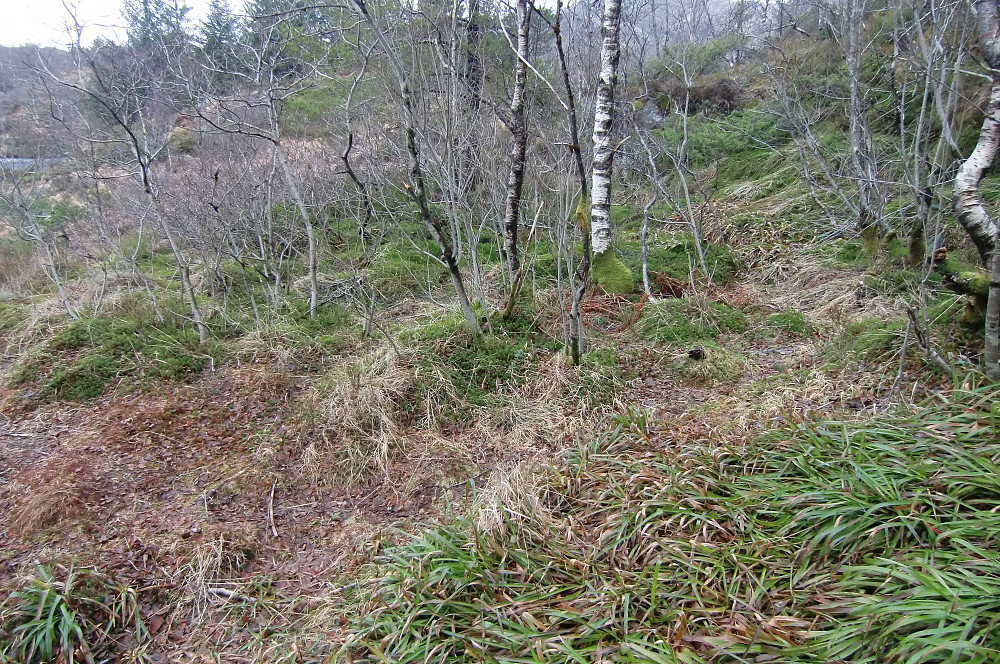 Tuften etter Jotneberg de. 