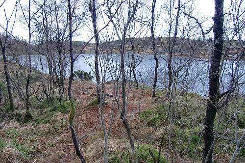 Jotneberg de. 