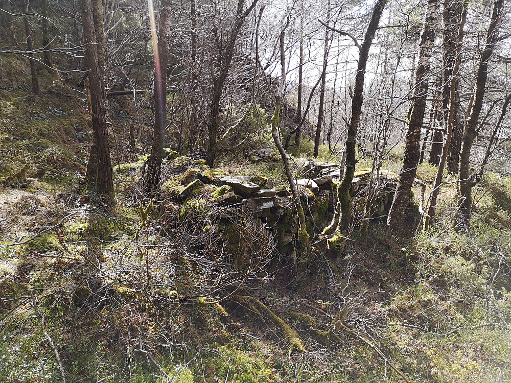ruin vest for Brennhaugen