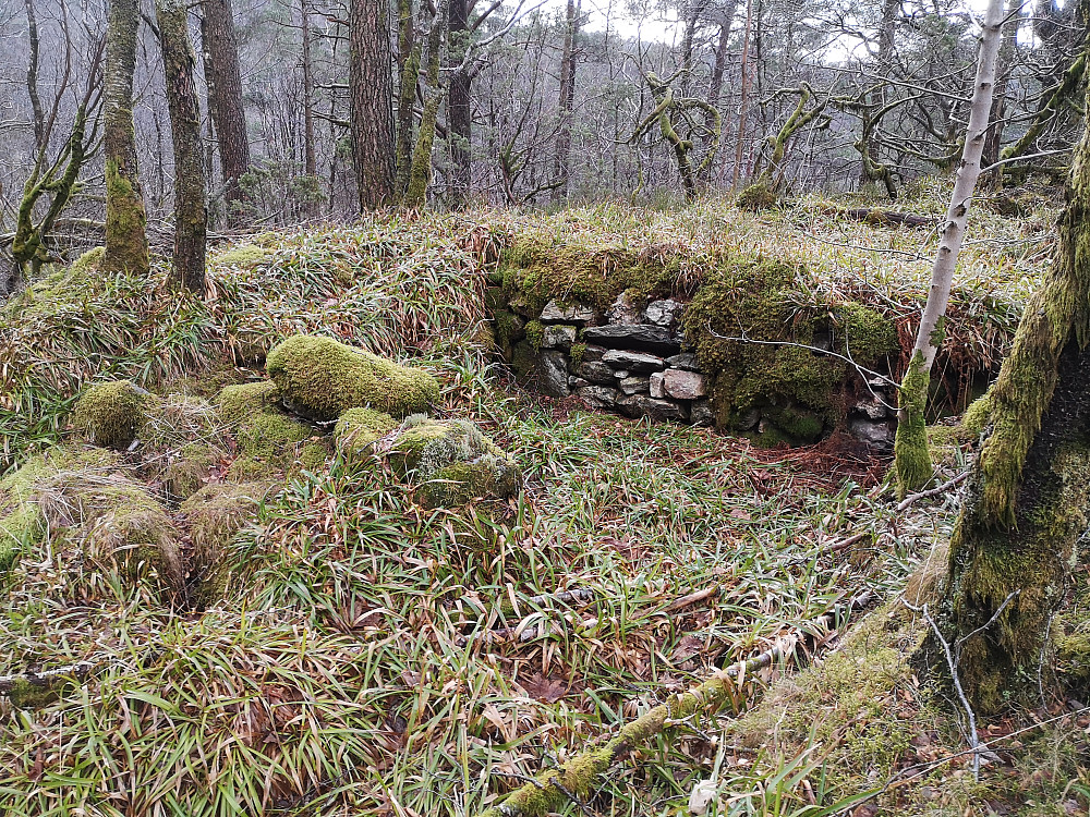 ruin nord for Ankerhytten