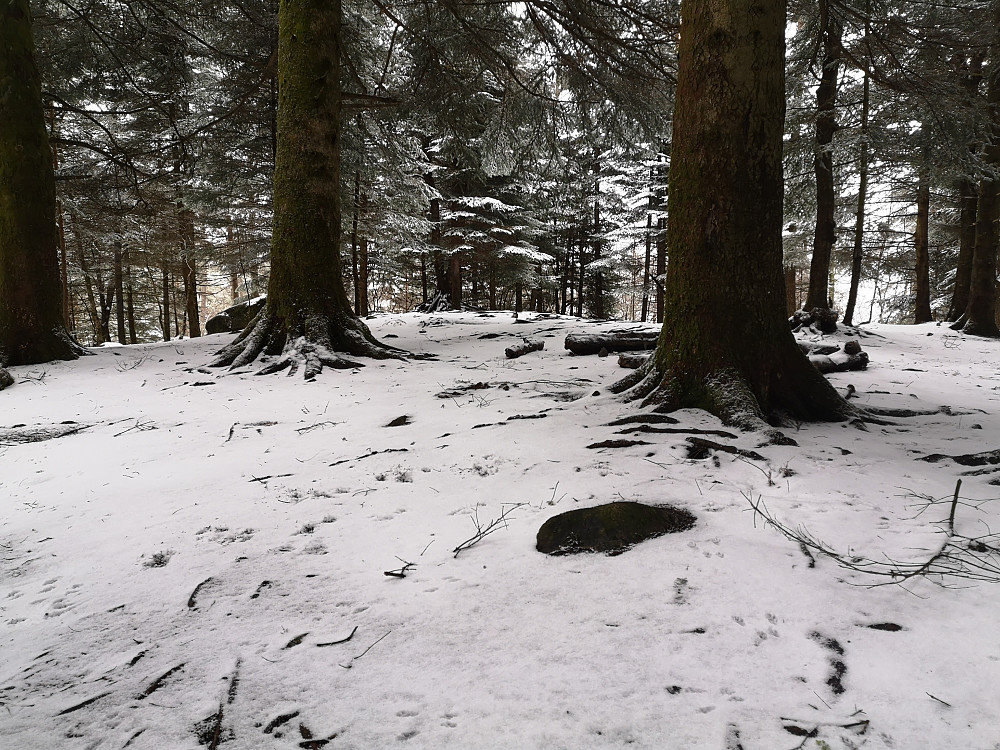 Lerkehaugen