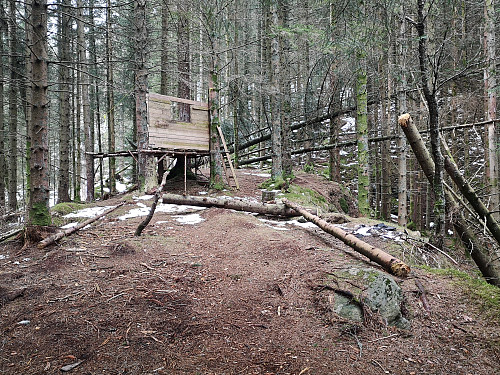 Forsøk på guttehytte inne i skogen 