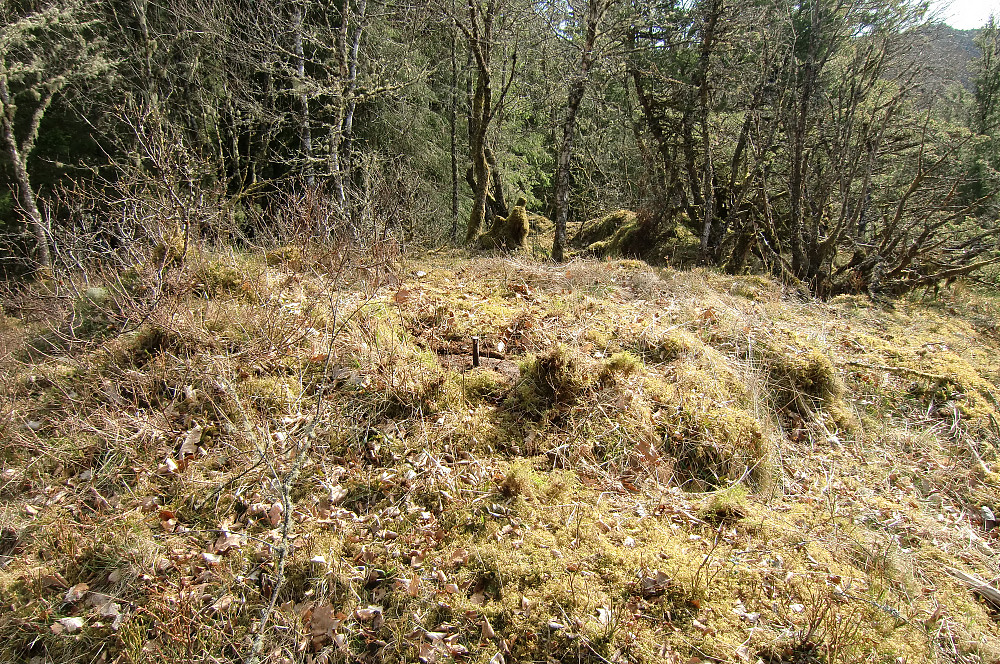 Kistehaugen 141 med primærfaktor 12 m.  Haugen har bolt i fjell og er merket som trig. punkt på kart. 