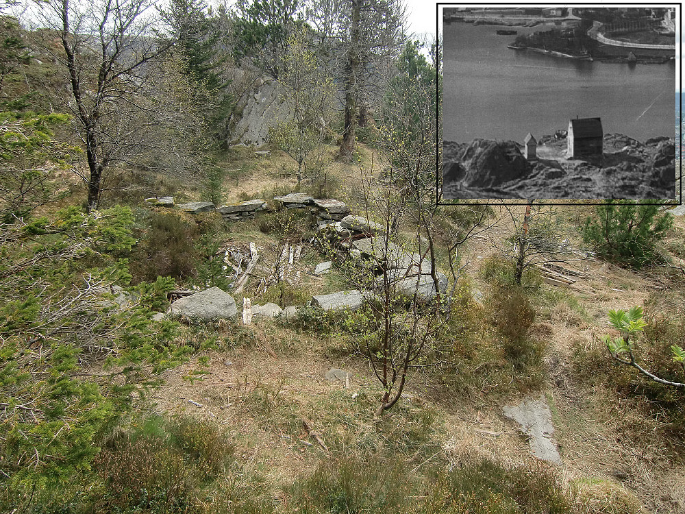 Tuften til Fredheim / Markus - ubb-kk-pan-0014