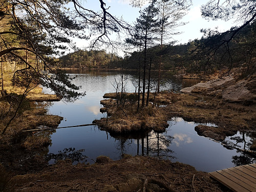 Svartatjørna