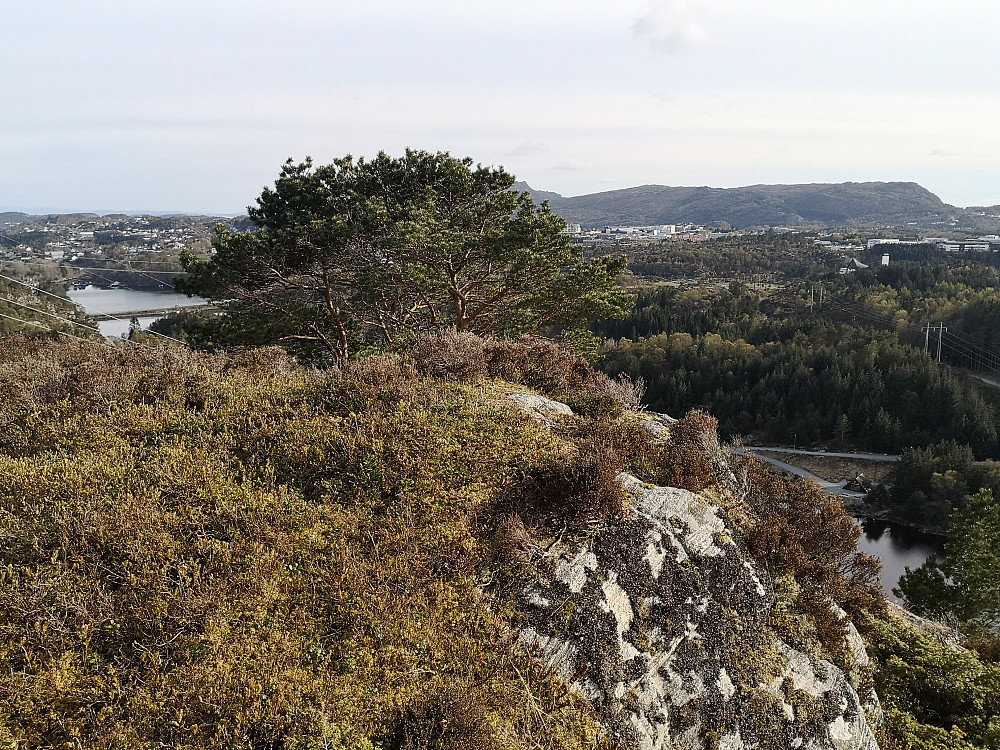 Toppen på Steinsfjellet