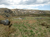 Fjellheim