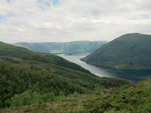 Kommet over skogen