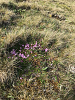 geirclaussen_20190622_5d0e22bdeb489.jpg