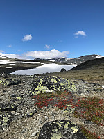 geirclaussen_20190622_5d0e22d5b586e.jpg