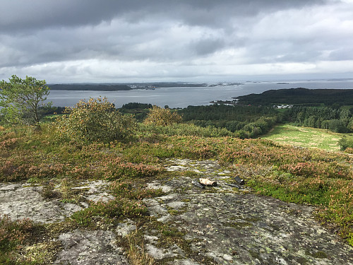 Varden i Fræna