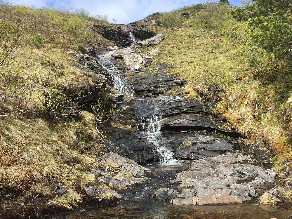 Fin foss