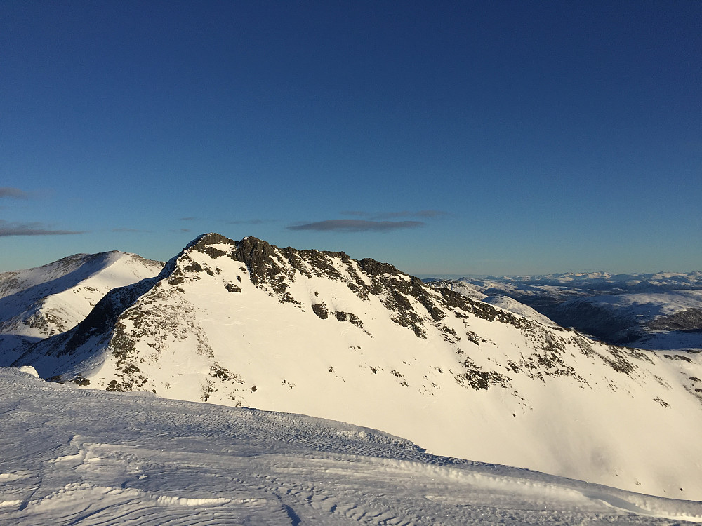 Toppen av Butippen med utsikt mot Bjørnen. Spora fra turen i går vises såvidt. 