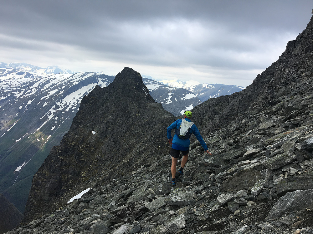 Mot Hårstadnebba