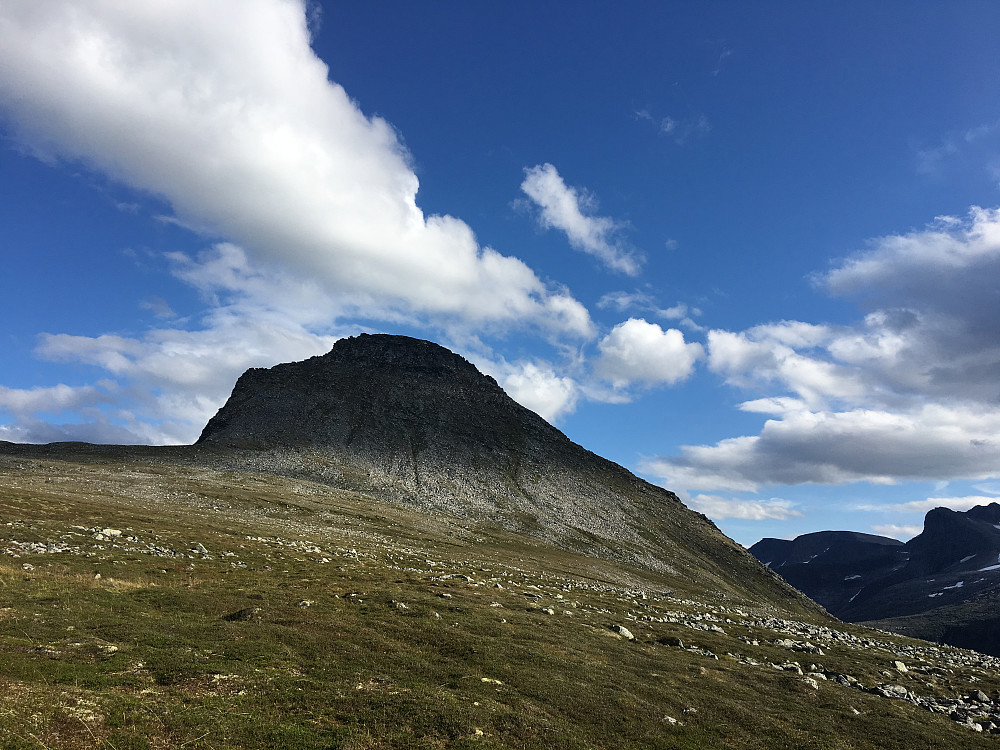 Storknubben