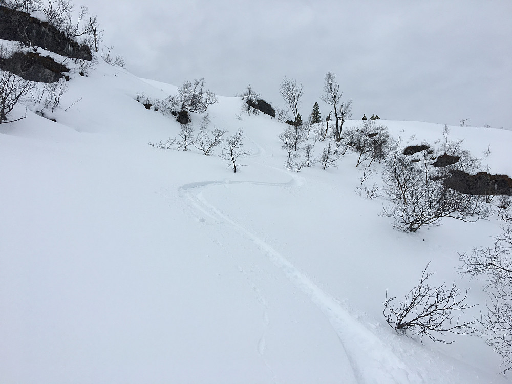 Kurant føre på østsida av Vetafjellet ned mot Sandnesdalen